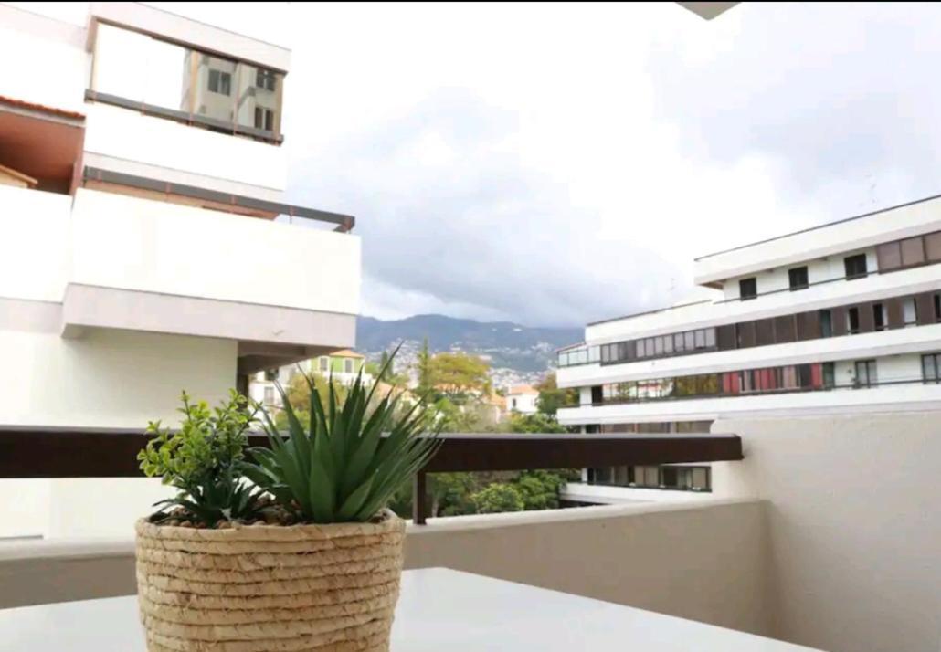 Vista Infante Appartement *